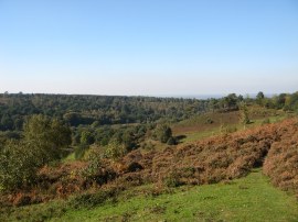 View over the Devils Punchbowl